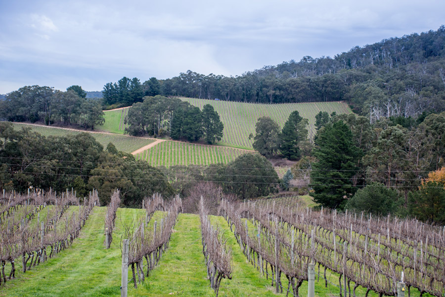 Electrician Adelaide Hills