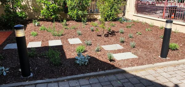 Bollards and spike light complete